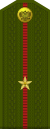 Junior Lieutenant