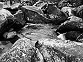 Rocks at Saint Peters, Pennsylvania