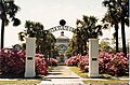 West Hall with the azaleas in bloom, 1986, when it was Valdosta State College