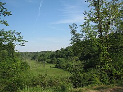 Hillman State Park also known at Bavington Game Lands