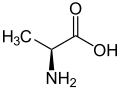 L-Alanine (Ala / A)