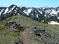 Welch Peaks seen from Mt. Townsend trail