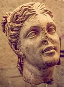Female head, terracotta, Vulci