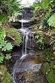 Lisgar Gardens waterfall