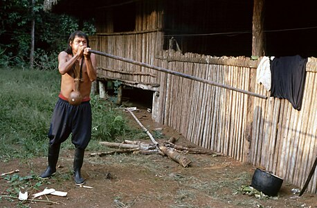 An Achuar man with a blowgun, Ecuador