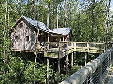 Tree house on the Cashie River