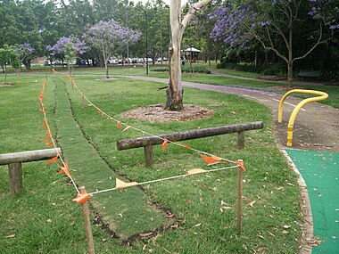A desire path roped off for revegetation in Brisbane, Australia