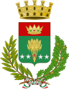 加尔巴尼亚泰米拉内塞徽章