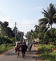 Kandenahalli Bridge on the northeast of the town