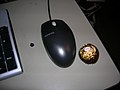 A computer mouse, with a blueberry and a Ferrero Rocher for size reference.