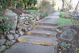 Pearl Street steps