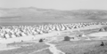 Balata, 1950; the refugees were still living in tents