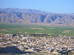 Tan and white buildings sit closely together next to a green field and hills in rural Iran