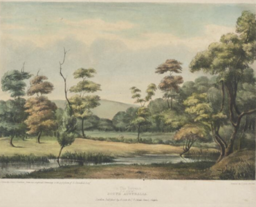 On the Torrens, SE view, South Australia, lithograph, 1839