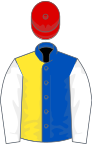 Royal blue and yellow halved, white sleeves, red cap