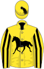 Yellow, black horse, yellow sleeves, black seams, yellow cap, black tassel