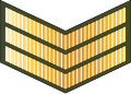 Sarjan (Royal Brunei Land Force)[34]
