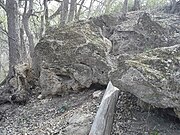 Outcrop above Turkey Creek