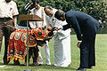 Image 25President J. R. Jayewardene gifting Jayathu, a baby elephant to US President Ronald Reagan in 1984 (from Sri Lanka)