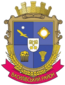 瓦西里夫卡区徽章