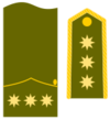 Coronel