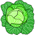 extracted cabbage with natural coloration