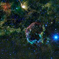广域红外线巡天探测卫星拍摄的水母星云