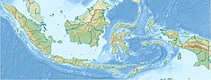 比里比里水坝在印度尼西亚的位置