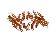 2ond: Crystal Structure of the HAT-C domain of murine CstF-77