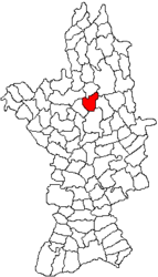 Location in Olt County