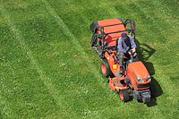 A ride on mower being used to maintain a public garden (2015)