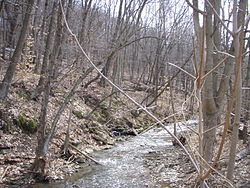 Coal Run at Hickory Heights, PA