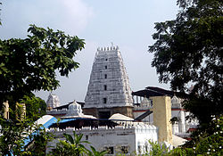 View of Bhadrachalam Gopuram