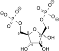 β-D-fructose 1,6-bisphosphate