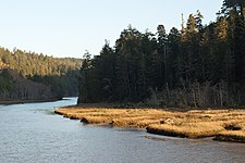 Mendocino Headlands