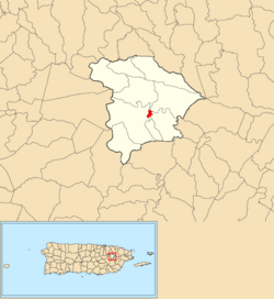 Location of Gurabo barrio-pueblo within the municipality of Gurabo shown in red