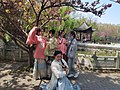 九江市甘棠湖畔着汉服赏花的大学生们