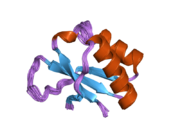 2hh2: Solution structure of the fourth KH domain of KSRP