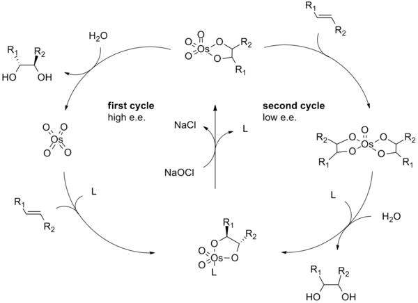 Catalytic cycle of the Sharpless asymmetric dihydroxylation