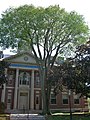 American elm in front of the Florence K. Murray Courthouse in Newport, Rhode Island (August 2015)