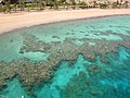 Eilat, coral reef