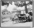 Goat wagon peddler at the Plaza del Cristo with Church of Christ in Background, in 1895.