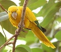 At the National Aviary