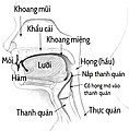 Tiếng Việt (JPEG)