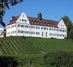 Manor house Hersberg, Immenstaad am Bodensee