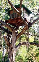 A treehouse in Marayur, Kerala, India[22]