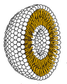 Image 16Cross-section through a liposome (from History of Earth)