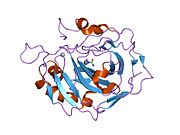 2geh: N-Hydroxyurea, a versatile zinc binding function in the design of metalloenzyme inhibitors