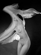 Nude with a veil, 2010