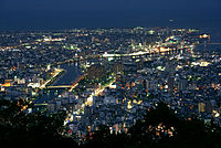 从眉山公园的展望台所看见的德岛市市区夜景